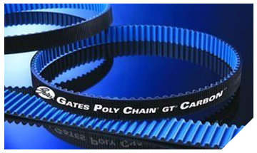 CORREA POLY CHAIN